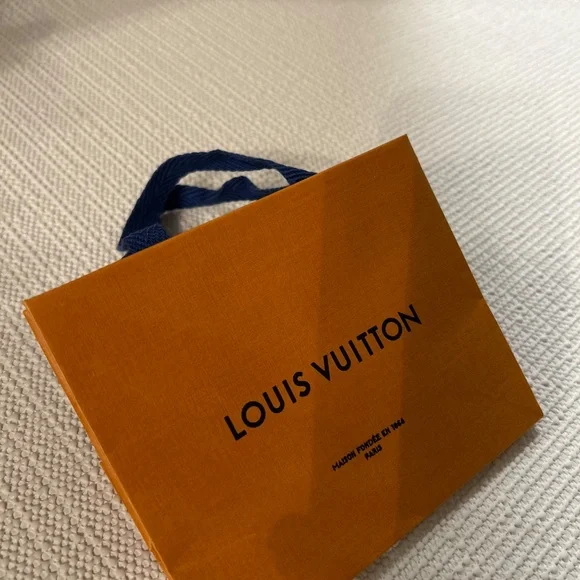 Louis Vuitton Small Empty Paper Gift Bag – AuthentiC